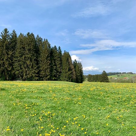 Lindners Hideaways - Bergnest Lodge - Bergblick Fewo 6 Pers Balkon Garten Hund Ski Unterkunft Luftkurort Oberreute Naehe Buchenegger Wasserfaelle Eistobel Bodensee Экстерьер фото