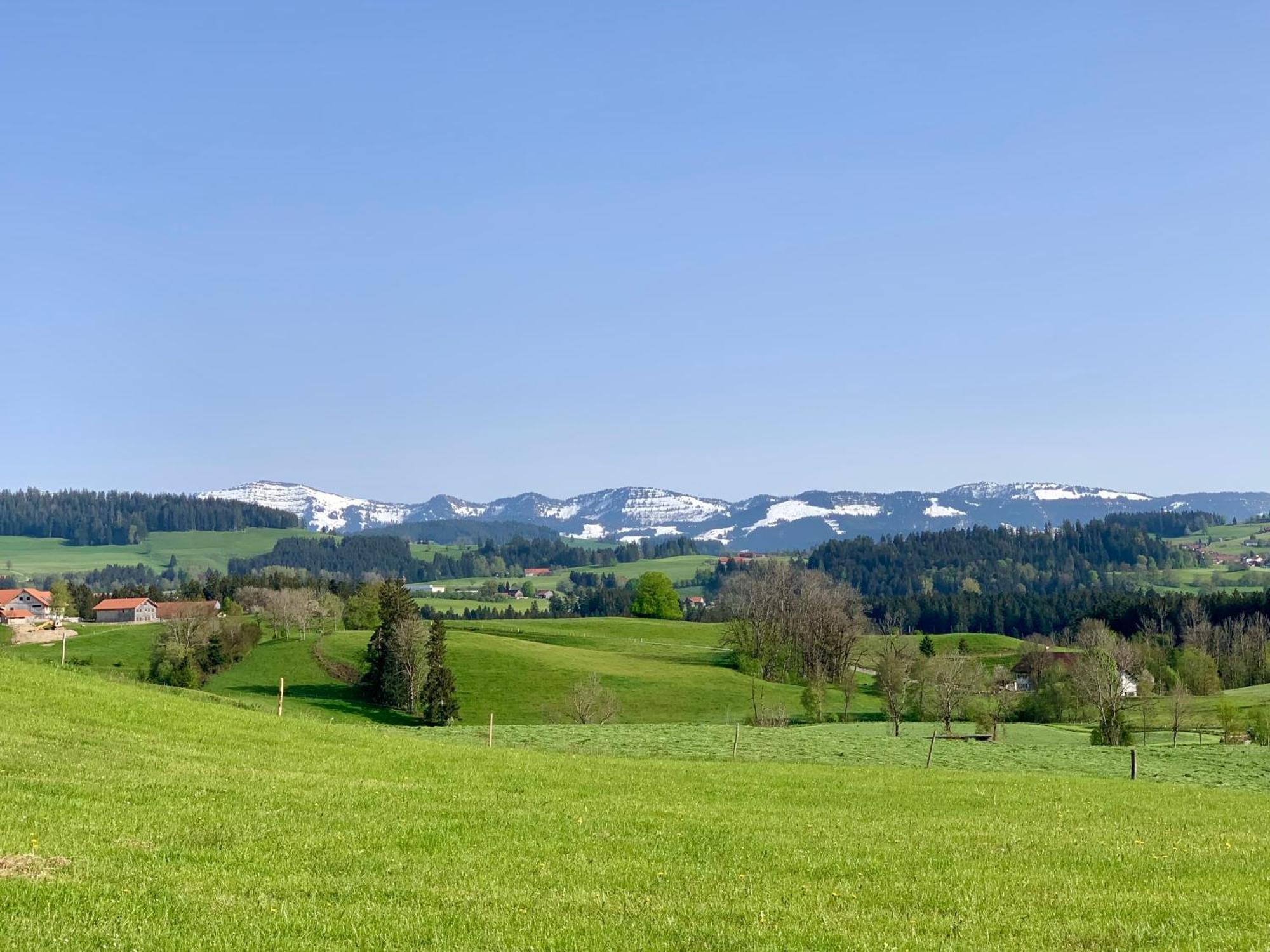 Lindners Hideaways - Bergnest Lodge - Bergblick Fewo 6 Pers Balkon Garten Hund Ski Unterkunft Luftkurort Oberreute Naehe Buchenegger Wasserfaelle Eistobel Bodensee Экстерьер фото