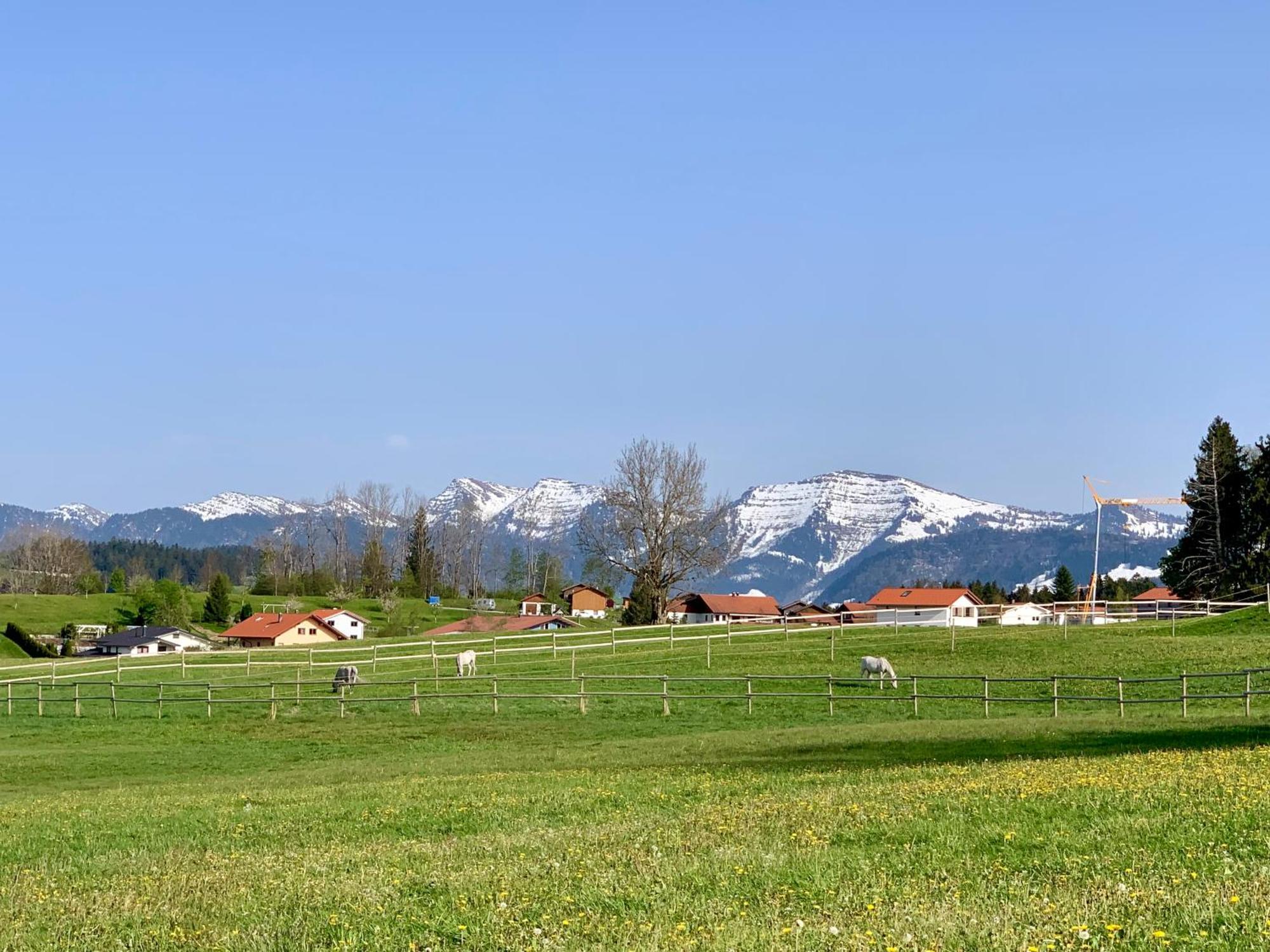 Lindners Hideaways - Bergnest Lodge - Bergblick Fewo 6 Pers Balkon Garten Hund Ski Unterkunft Luftkurort Oberreute Naehe Buchenegger Wasserfaelle Eistobel Bodensee Экстерьер фото