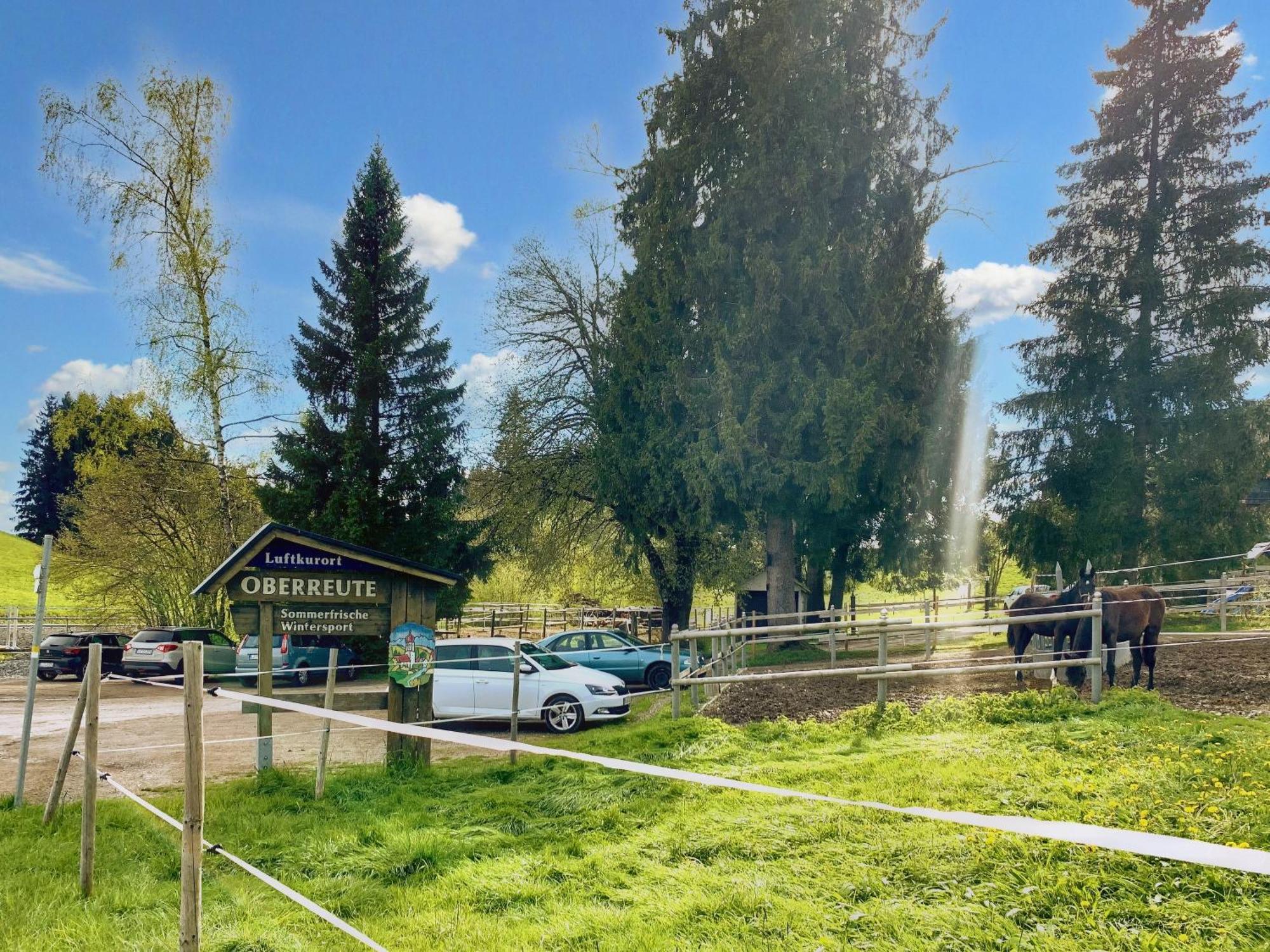 Lindners Hideaways - Bergnest Lodge - Bergblick Fewo 6 Pers Balkon Garten Hund Ski Unterkunft Luftkurort Oberreute Naehe Buchenegger Wasserfaelle Eistobel Bodensee Экстерьер фото